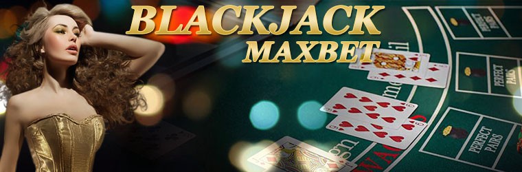 blackjack ไพ่แบล็คแจ๊ก ใน maxbet